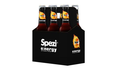 Sixpack 6x Flaschen 0,33l